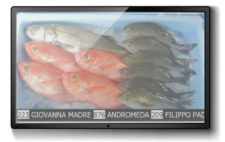 eFish Sistema di gestione mercati ittici